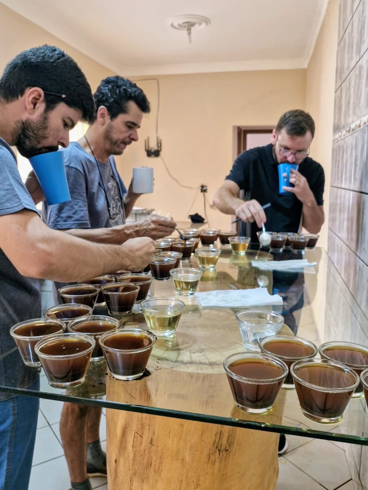 Edição anterior 11